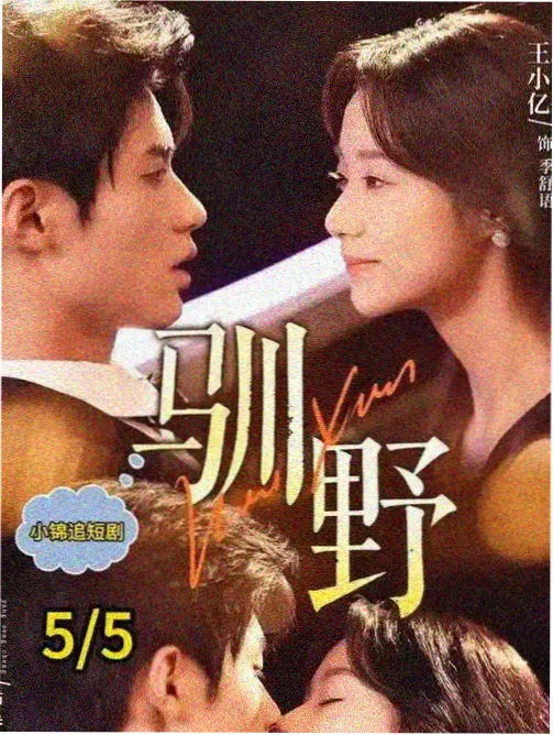爱情而已 都市电视剧